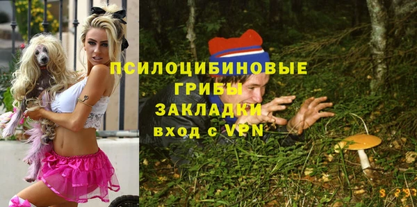 гидра Заволжье
